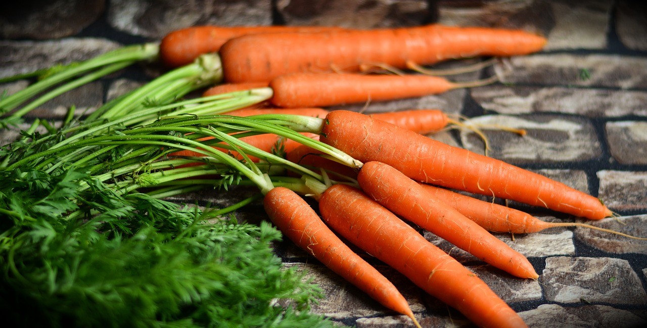 zanahorias crudas